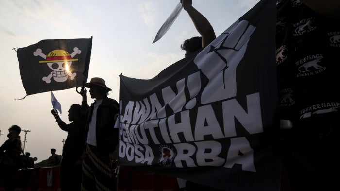 Activists wave the Straw Hat Pirates' Jolly Roger flag from the anime One Piece.