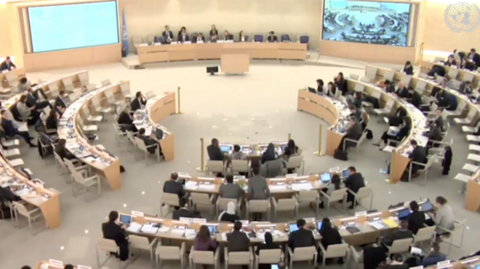 Human rights council