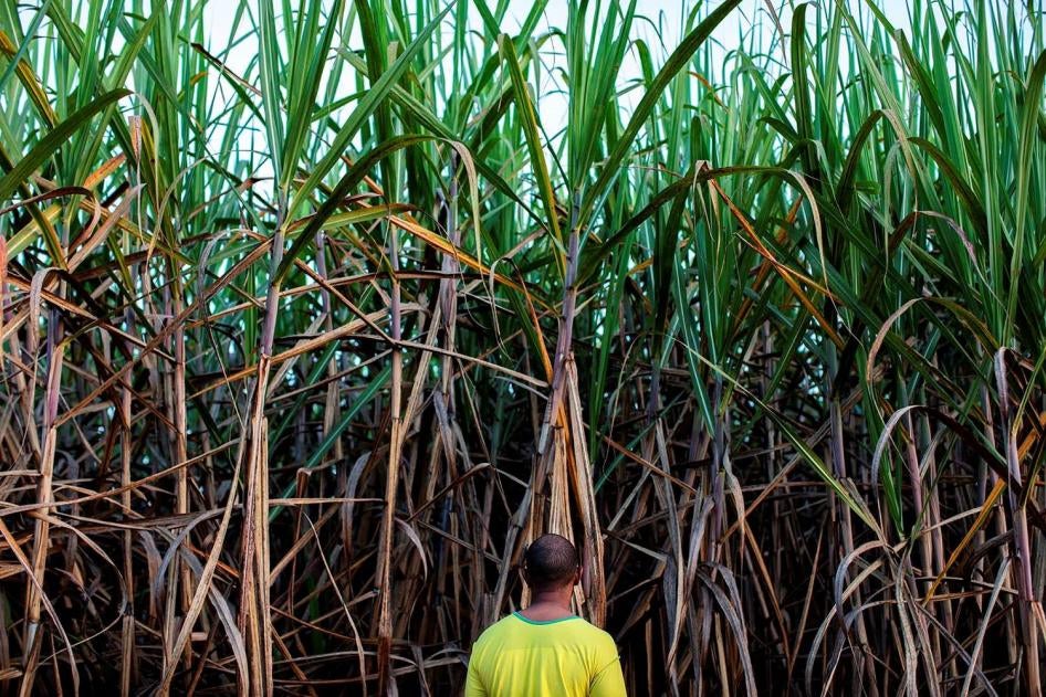 Bernardo, a man in his 30s, was born in a quilombo (Afro-Brazilian) community of around 60, men, women, and children in Minas Gerais State, southeast Brazil. Bernardo told Human Rights Watch that he feels powerless against aerial spraying of pesticides. “