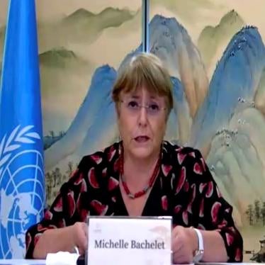 A screen capture of Michelle Bachelet speaking at a press conference.