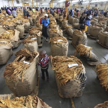 A child walks between bales of tobacco on an auction floor in Harare, Zimbabwe.  